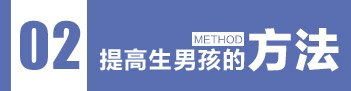 提高生男孩的方法